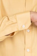 Premium Khaki (Vishal)