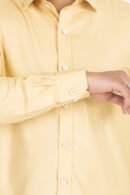 Premium Yellow (Vishal)