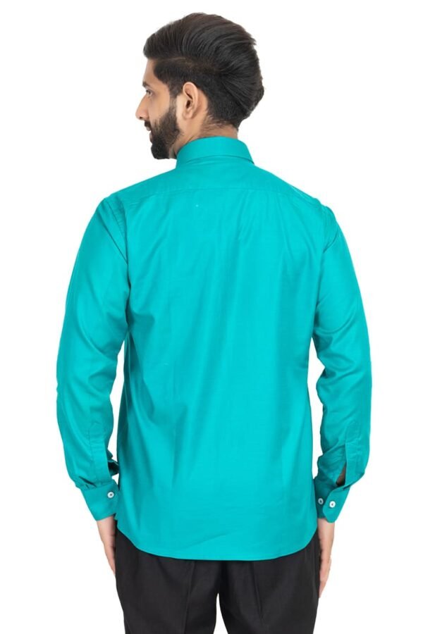 Premium Turquoise (Vishal) - Image 3